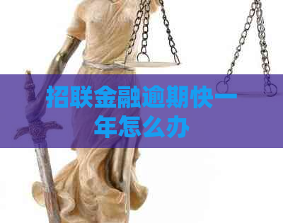 招联金融逾期快一年怎么办