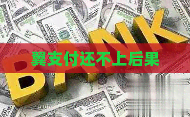 翼支付还不上后果