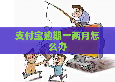 支付宝逾期一两月怎么办