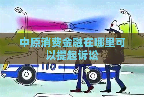 中原消费金融在哪里可以提起诉讼