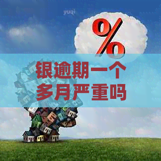 银逾期一个多月严重吗