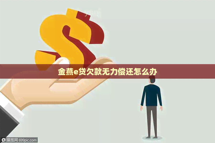 金燕e贷欠款无力偿还怎么办