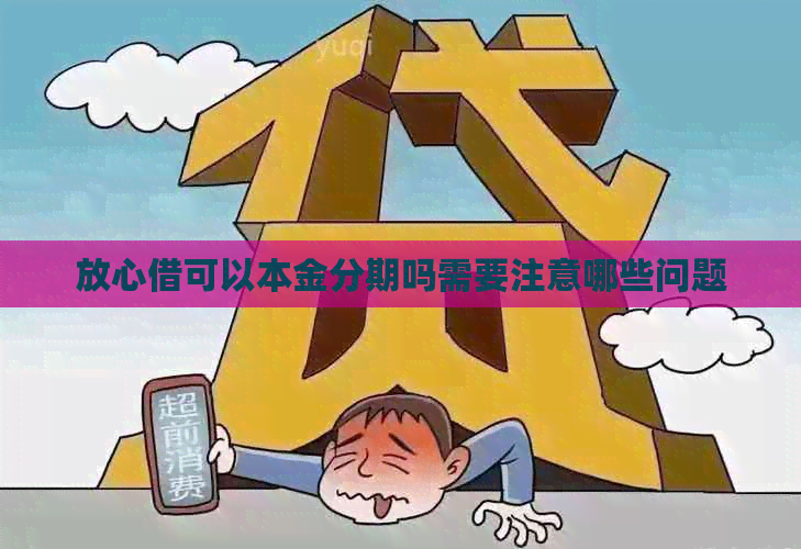 放心借可以本金分期吗需要注意哪些问题