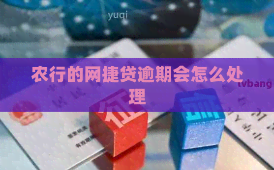 农行的网捷贷逾期会怎么处理