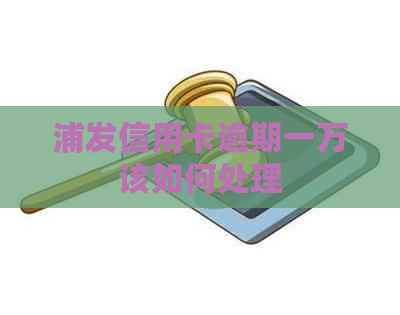 浦发信用卡逾期一万该如何处理