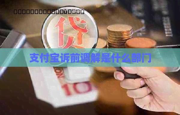 支付宝诉前调解是什么部门