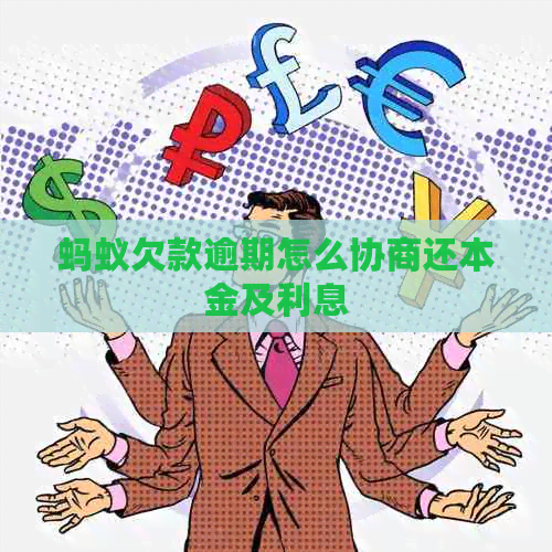 蚂蚁欠款逾期怎么协商还本金及利息