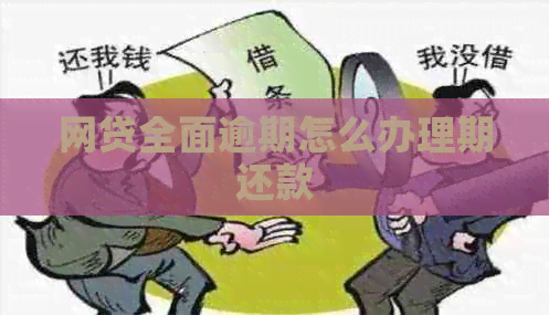 网贷全面逾期怎么办理期还款