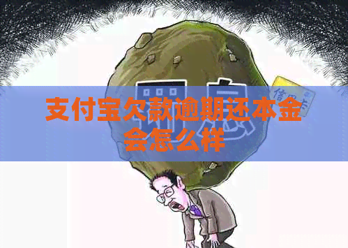 支付宝欠款逾期还本金会怎么样