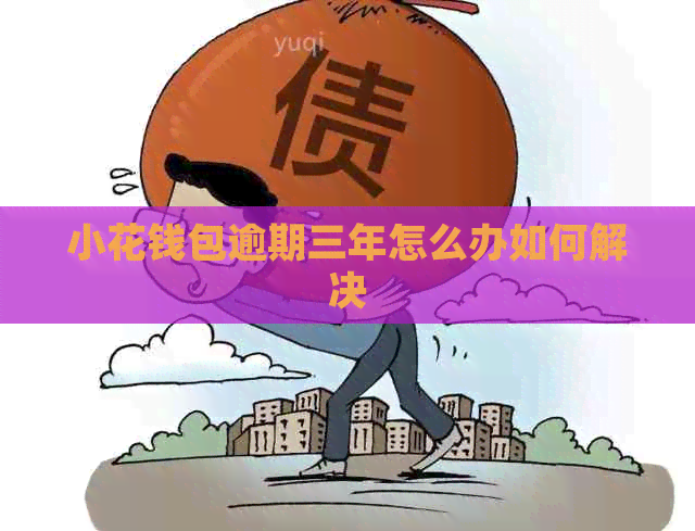 小花钱包逾期三年怎么办如何解决