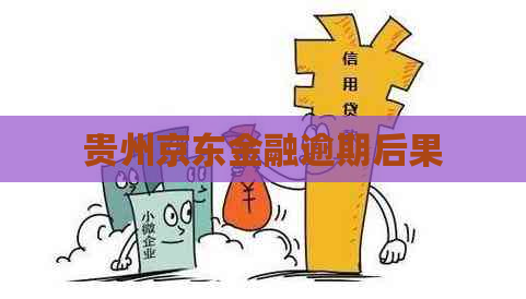 贵州京东金融逾期后果