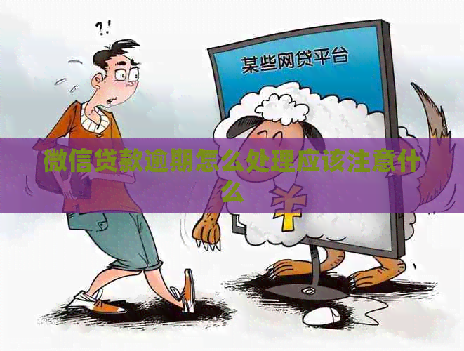 微信贷款逾期怎么处理应该注意什么