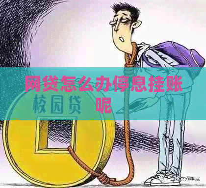 网贷怎么办停息挂账呢