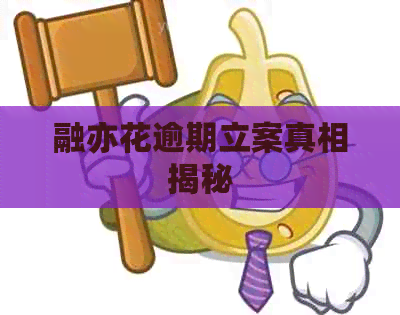 融亦花逾期立案真相揭秘