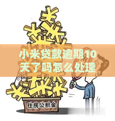 小米贷款逾期10天了吗怎么处理