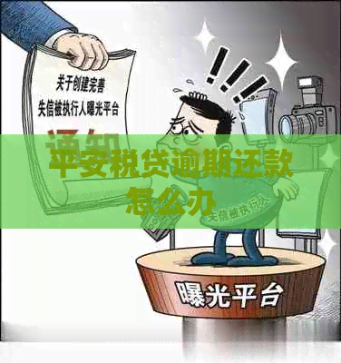 平安税贷逾期还款怎么办