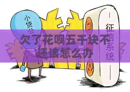 欠了花呗五千块不还该怎么办