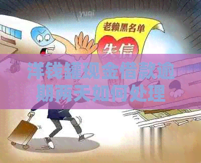 洋钱罐现金借款逾期两天如何处理