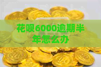 花呗6000逾期半年怎么办