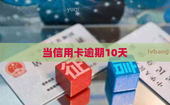 当信用卡逾期10天