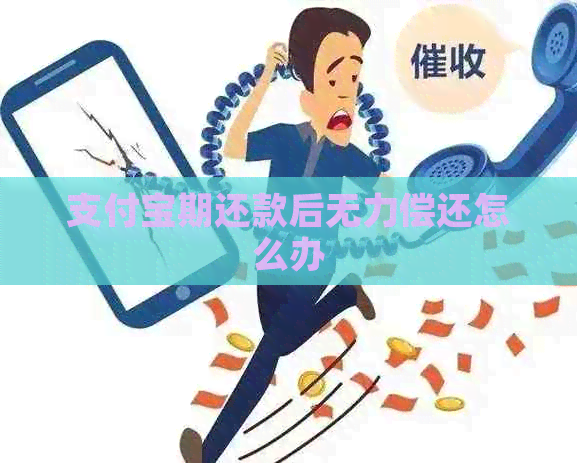 支付宝期还款后无力偿还怎么办