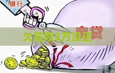 欠花呗3万没还