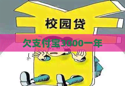 欠支付宝3000一年