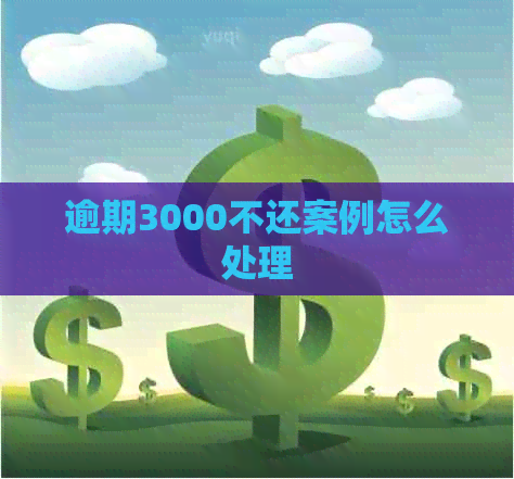 逾期3000不还案例怎么处理