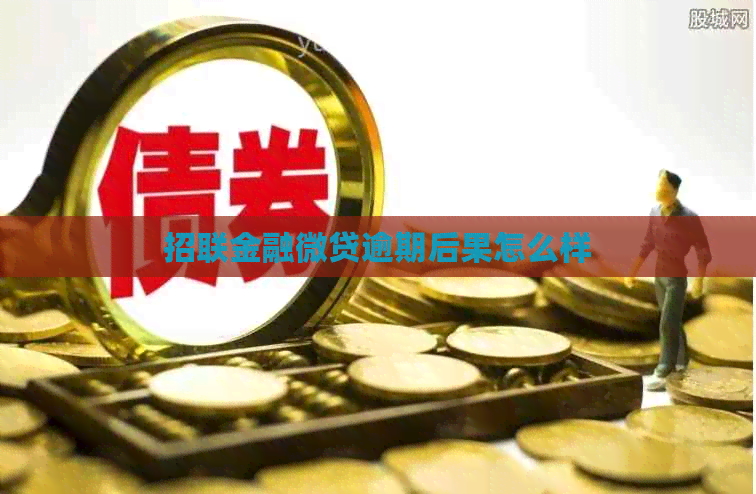 招联金融微贷逾期后果怎么样