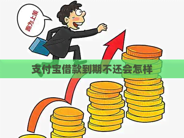 支付宝借款到期不还会怎样