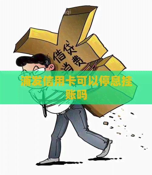 浦发信用卡可以停息挂账吗