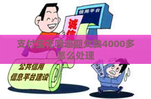 支付宝花呗逾期欠款4000多怎么处理