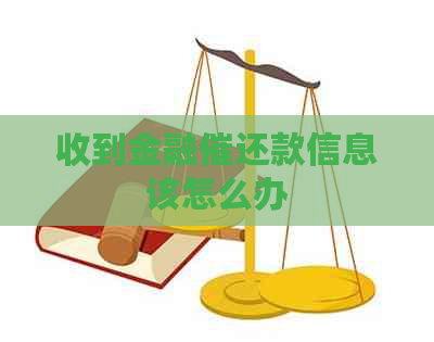 收到金融催还款信息该怎么办