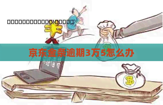 京东金条逾期3万5怎么办