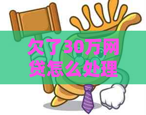 欠了30万网贷怎么处理