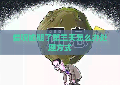 借呗逾期了第三天怎么办处理方式