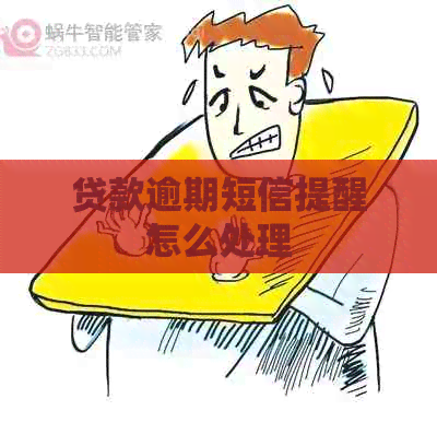 贷款逾期短信提醒怎么处理