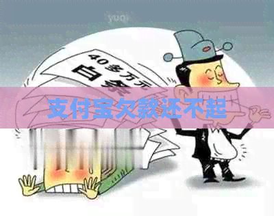 支付宝欠款还不起