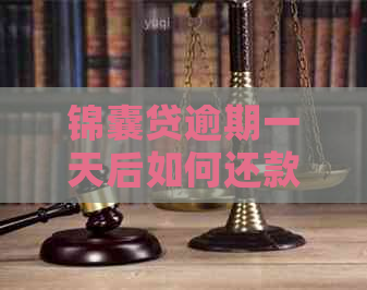 锦囊贷逾期一天后如何还款