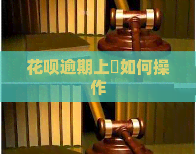 花呗逾期上訴如何操作