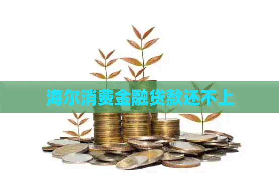 海尔消费金融贷款还不上