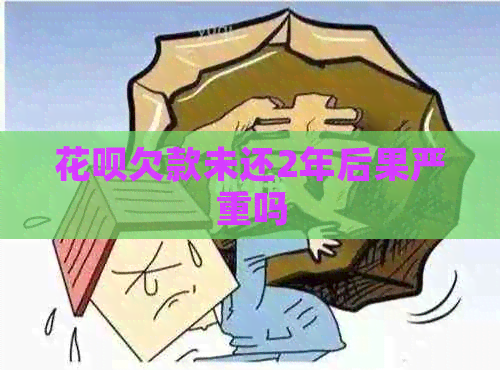 花呗欠款未还2年后果严重吗