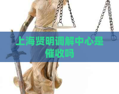 上海贤明调解中心是吗