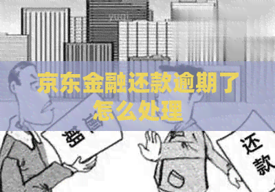 京东金融还款逾期了怎么处理