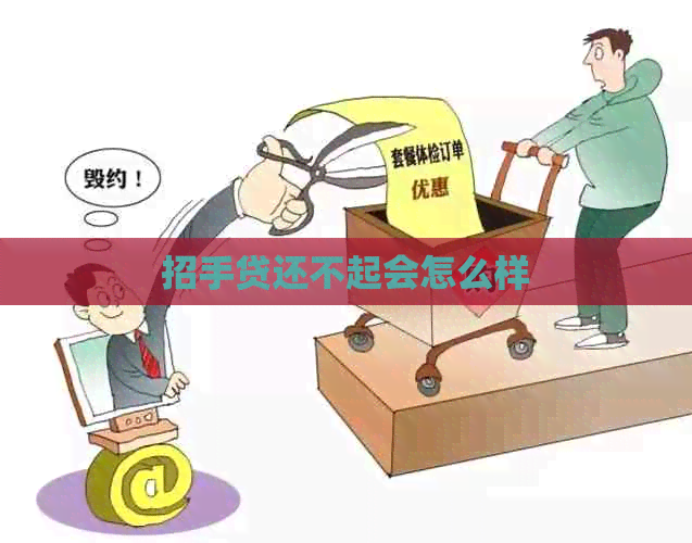 招手贷还不起会怎么样