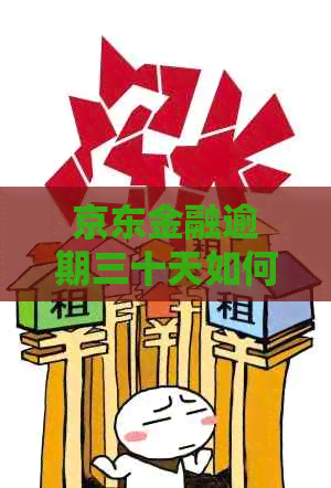 京东金融逾期三十天如何全额还款