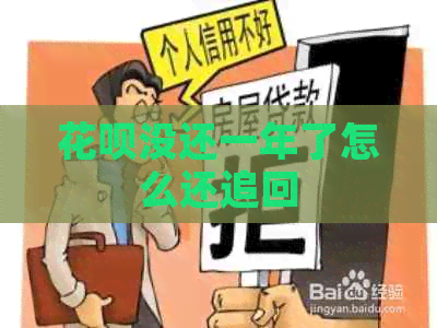 花呗没还一年了怎么还追回