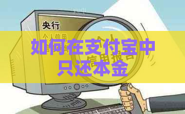 如何在支付宝中只还本金