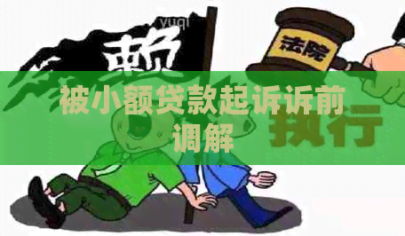 被小额贷款起诉诉前调解