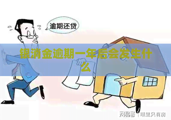 银消金逾期一年后会发生什么